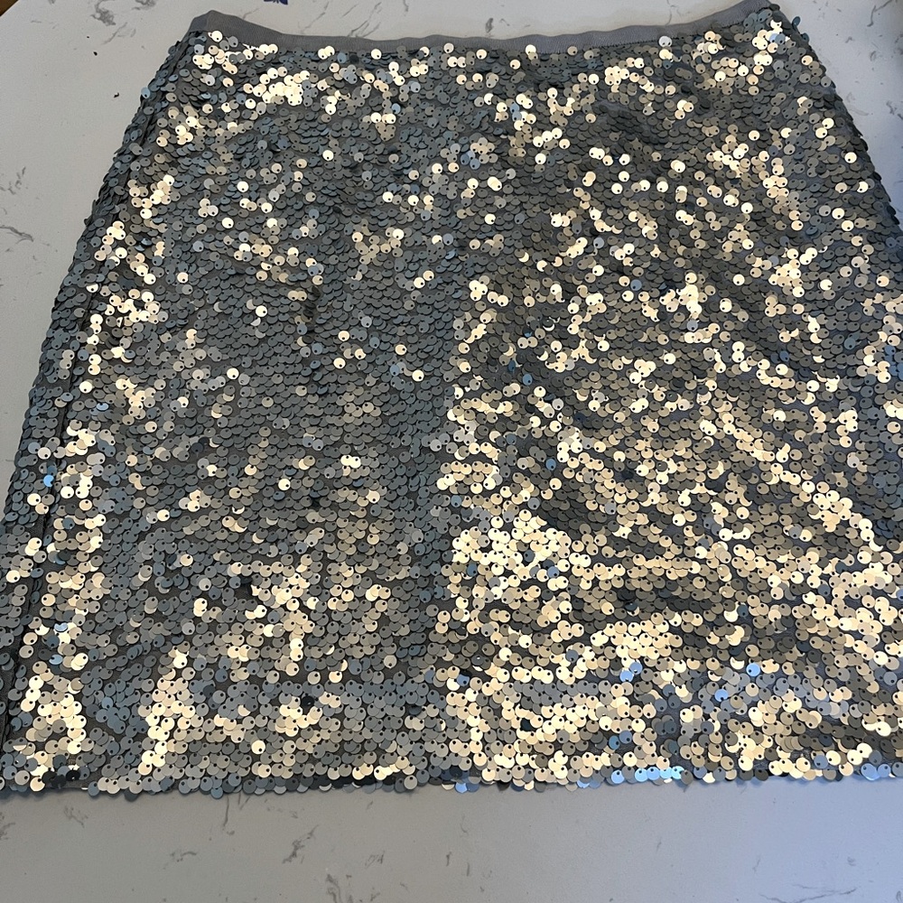 Pewter sequin skirt